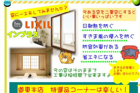 道東本店便り～コスモスベリーズ2025年9月号